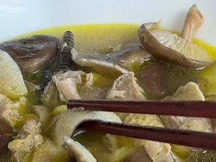 #庆元香菇#自产自销农产品 你吃过这么好吃的香菇吗