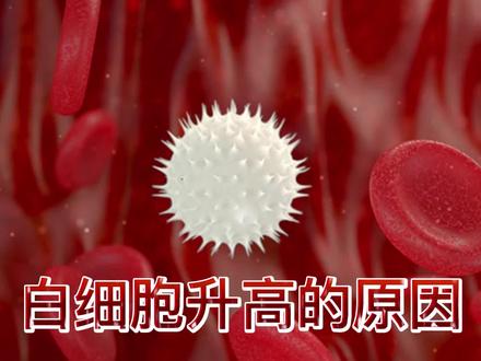 白细胞增高的原因#健康科普 #说不定能帮到你 #chatgpt