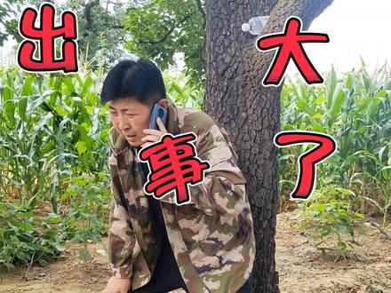 原创视频#原创视频 大虎二虎的快乐生活