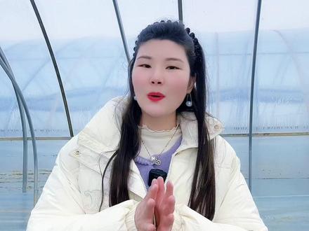 大棚草莓到了二茬、三茬果,是不是发现果实越来越小、甜度上不去,还容易出现叶片发黄、早衰?其实问题都出在细节上,这 4 点做好,既能保住产量,又能提升果实品质!#草莓 #草莓种植 #三农 #农业