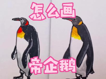 爸爸第二次跟着画简笔画,简直太惊艳了吧哈哈,帝企鹅儿童简笔画 #简笔画 #画画 #儿童简笔画 #绘画 #简笔画教程 #画渣日常 #亲子简笔画 #亲子时光 #企鹅 #企鹅简笔画