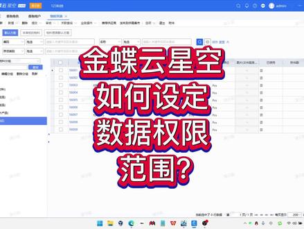 金蝶云星空,如何设定数据权限范围? #金蝶云星空 #金蝶软件 #权限设置