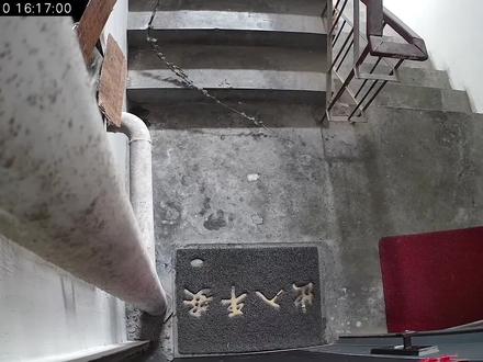 有没有朋友知道怎么去除猫屎味,拉一次总在一个地方拉,天天来我门口拉,天天铲屎,有没有什么好办法去味呢,有没有猫特别讨厌的味道呢#监控下的一幕