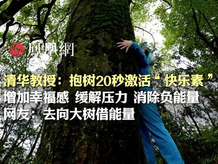 抱树 20 秒,向大自然借能量!清华教授:环抱大树激活“快乐素”,解压消负,让幸福感从树皮渗入心底 #解压 #治愈 #大自然 #大树 #养生