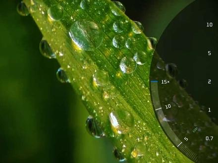 一起来感受小米17Promax长焦微距镜头中的世界#小米17Promax #小米17pro #摄影