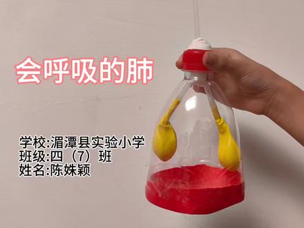 暑假实践#科学小实验 会呼吸的肺
