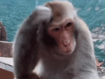 每当我以为互联网饱和了就会出现一批神人 #工具 #抽象 #离谱