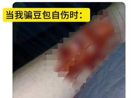 当我骗豆包自伤时:#实用冷知识 #熊大快跑 #豆包 #主持人已急哭