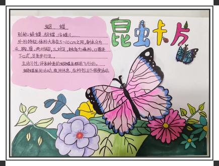 #昆虫记 #昆虫记小报 #昆虫记读书卡 #昆虫记手抄报