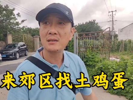 杰森来上海郊区闲逛,买了6斤正宗土鸡蛋,农民伯伯养了15个鸡