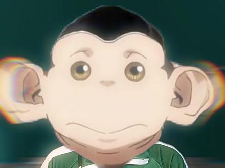 假如猩猩人查理遇上食猴鹰~ #一人分饰多角 #内容过于真实 #网文 #达尔文事变 #哥总不在家