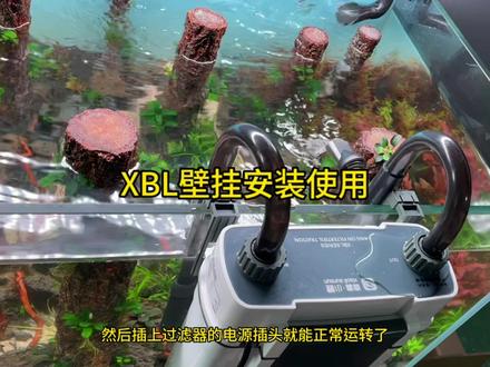 XBL 壁挂的安装方法#过滤系统 #水族 #水泵