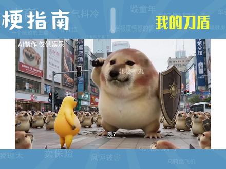 我的刀盾是什么梗【梗指南】 #梗指南 #我的刀盾