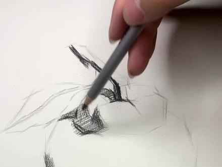 橘子的暗部处理你会码#素描静物 #素描教学 #美术生