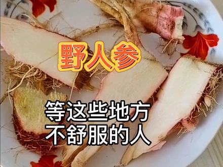刺苋根,又称作野人参、土人参,用来煲汤用处大#实用生活小常识 #健康 #知识分享 #三农 #自在就现在