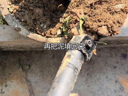 中国有广州,温州,徐州,惠州,沧州谁能再说出一个州我倒立洗头