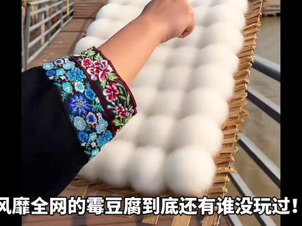 挑战在家自制脆皮解压霉豆腐,新品彩虹粘土豆腐,发霉能成功吗? #霉豆腐 #声控解压 #解压手工 #粘土手工