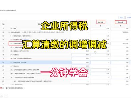 企业所得税汇算清缴调增减 #会计 #会计实操