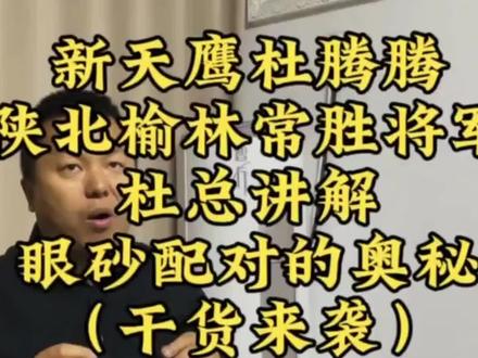 新天鹰杜腾腾
陕北榆林常胜将军
杜总讲解
眼砂配对的奥秘
(干货来袭)
#赛鸽公棚 #赛鸽 #养鸽人 #鸽王 #经验分享