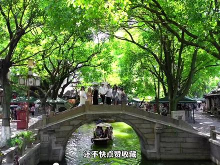 七月的同里,梦里的水乡。周末带着家人来 #江南古镇 #同里古镇 感受慢生活 #旅行大玩家 @抖音旅行