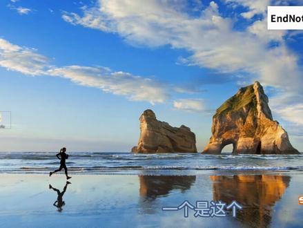 如何在word中导入、引用、修改参考文献,endnote教程 使用指南,格式修改,关联word。