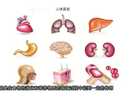 细胞怎样构成生物体#知识分享