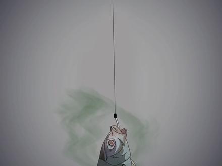 夜钓奇事S鱼正口,钓鱼佬无所畏惧 #充能计划 #真实事件