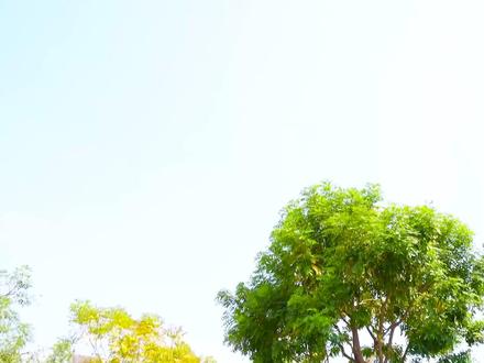 塞尔维亚邪恶医生要把平基带走,奥伦拼命追赶!快帮帮忙!#真人动漫