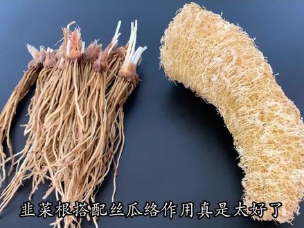 韭菜根搭配丝瓜络!