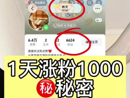 1天涨了1000粉,只需三步教你轻松涨粉 #真实生活分享计划 #自媒体干货 #抖音运营小技巧 #涨粉一千万 #大数据推荐给有需要的人