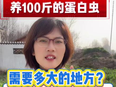 蛋白虫技术指导#养殖鸡鸭鹅鱼虾蟹喂蛋白虫#豆腐渣育虫#菌亿多发酵料