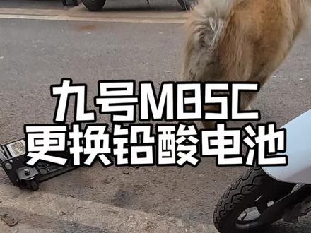 #九号电动 M85C铅酸电池以旧换新!懂你个董第一视角修车记录…#日常vlog#电动车维修#大有工具 #大有5765