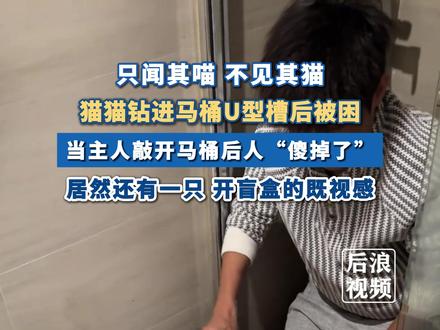 #小猫卡马桶主人敲马桶发现竟还有一只 近日,浙江宁波。小猫钻进马桶U型槽被困,主人敲碎马桶救猫没想到还有一只。#浙江dou知道 #小猫