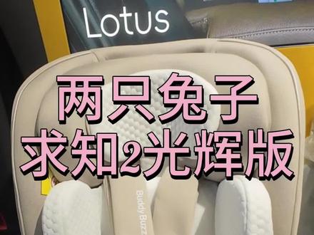 两只兔子求知2光辉版#贵阳凯适途集合店 #安全座椅