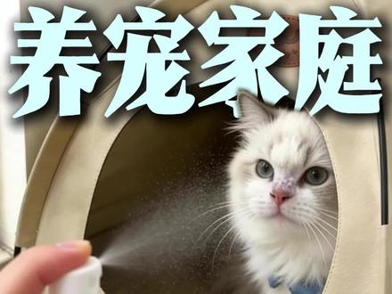 养宠家庭的环境消毒方案 #新手养猫 #紫外线消毒 #养宠进阶指南 #环境消毒 #宠物医生