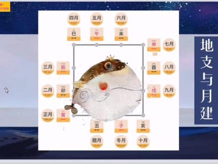 11月为什么叫冬月?
12月为什么叫腊月?
#易经#经典智慧@抖音小助手