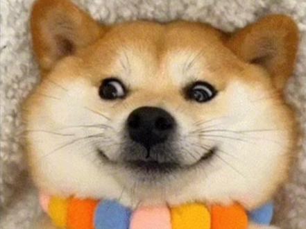 对异性说“晚安”算暧昧嘛?
#每日一问