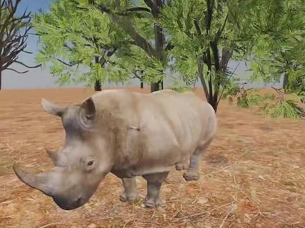 为什么故意割下犀牛角或许是在拯救它的生命呢