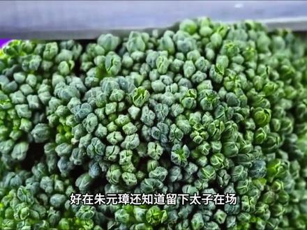 疏名《无耻毒计》更多精彩后续在#今日头条