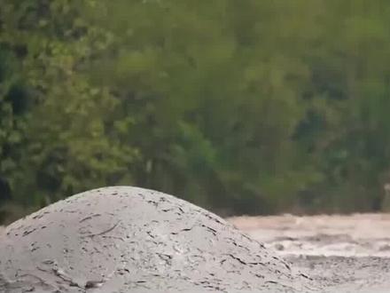 2年移动55米,“泥泉”为什么会跑? #泥泉 #科普 #科普一下 #涨知识