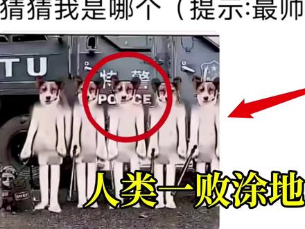 人类拉了一地 #搞笑 #抽象 #猎奇 #搞笑视频 #看一遍笑一遍