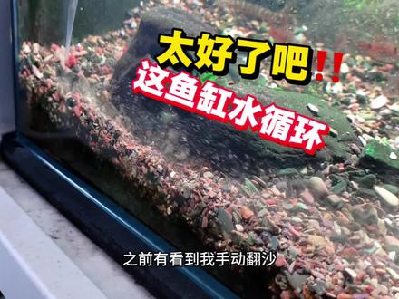 来吧!做好鱼缸水循环其实就这么简单!