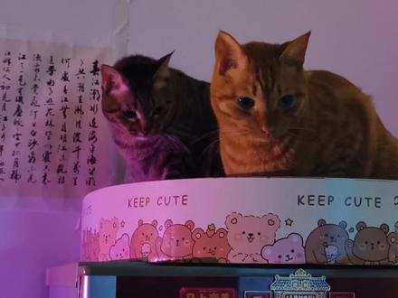 吾妻淑柔,展信安康 江海万里,心中念你,便不觉遥远
#给阿嬷的情书 #电影 #信件 #木生 #淑柔