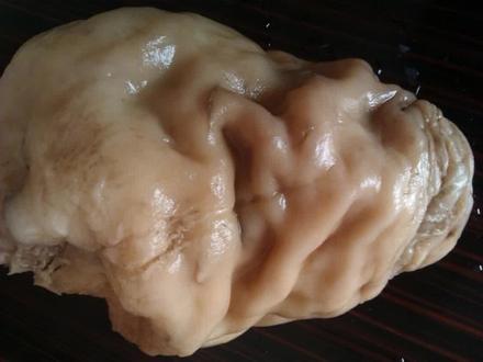 太岁到底啥?#历史 #知识分享 #太岁