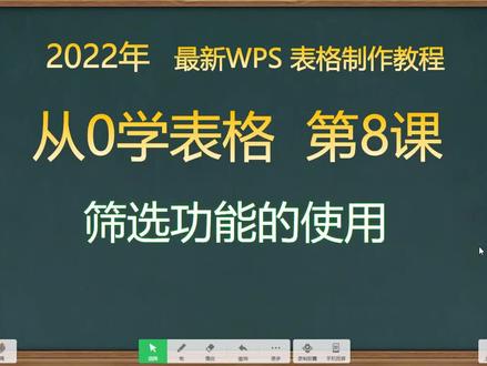 #WPS表格第8课:筛选工具的使用#excel教学