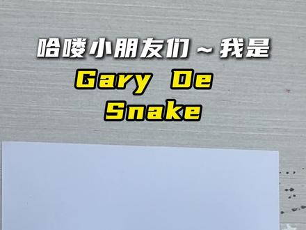 简笔画教程 | 盖瑞一条蛇 哈喽小朋友们~我是 Gary De Snake,你们也可以叫我盖瑞一条蛇~
我是疯狂动物城的蓝鳞小蛇,有着超厉害的红外热感应眼睛,能看到别人看不到的隐藏小秘密哦~
我虽然是竹叶青蛇,但超温柔,还随身带着解毒血清,从来不会随便咬人~
我还是个小发明家,做的热成像小仪器帮动物城破了好多案子~
我没有肩膀,不用硬扛重担,开开心心做自己就好啦,希望能和你们做朋友~
#少儿美术 #疯狂动物城 #简笔画教程