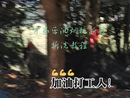 万家乐油烟机整板玻璃升降拆洗教程!!!#家电清洗 #油烟机清洗教学