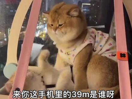 听说,每个男人手机里都存着一个“39m”?#萌宠#搞笑