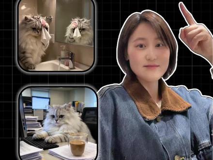 一分钟学会制作猫咪vlog,全流程拆解 #创作者中心 #创作灵感 #我的数码好物清单 #ai视频制作#豆包app