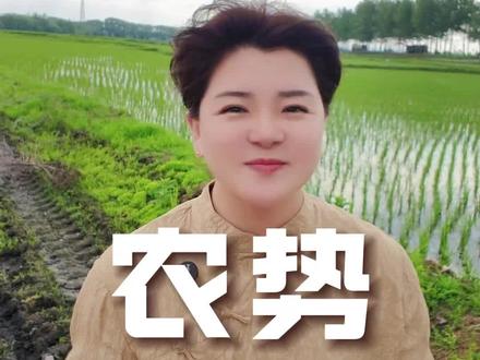 未来五年农业发展的三大趋势#农业 #三农